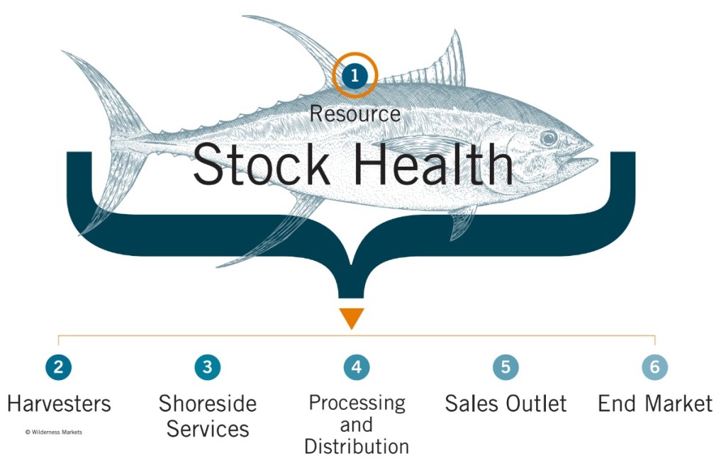Stock Health