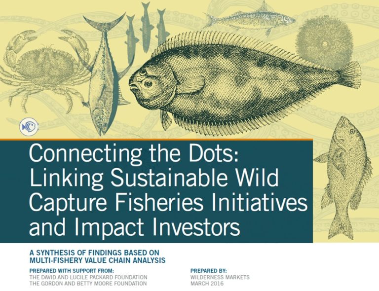 Connecting the Dots: Linking Sustainable Wild Capture Fisheries Initiatives and Impact Investors