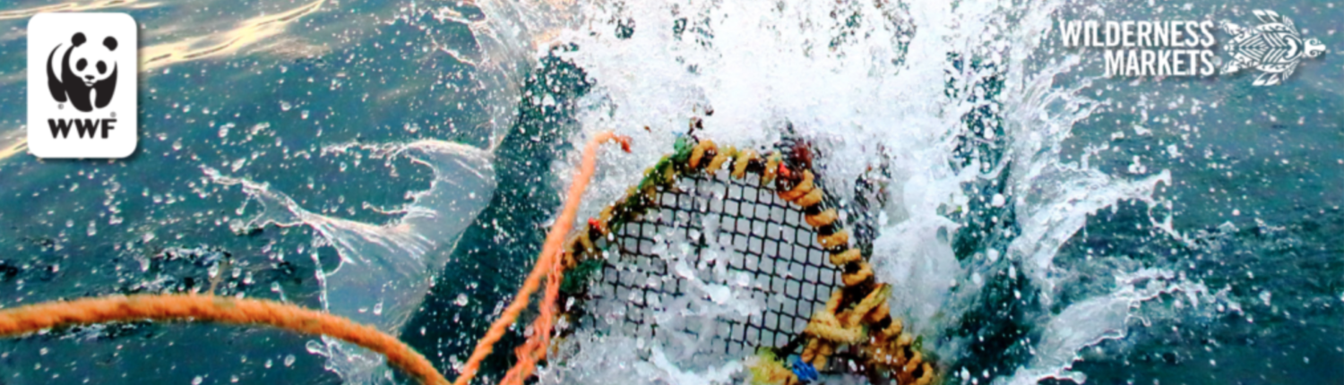 sustainable fisheries fund